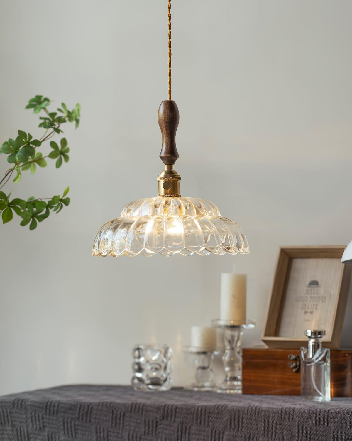 Aster Suspension