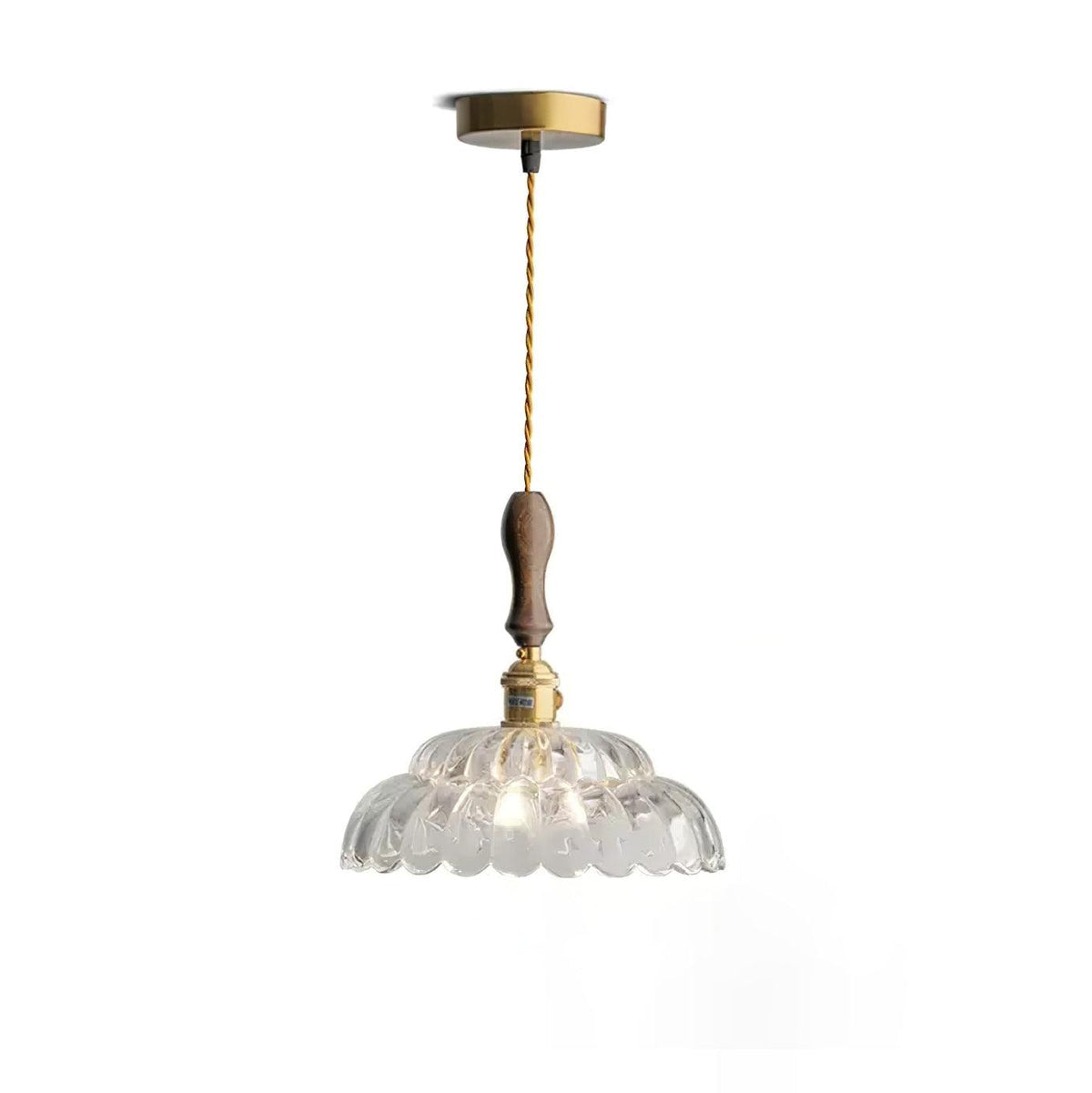 Aster Suspension
