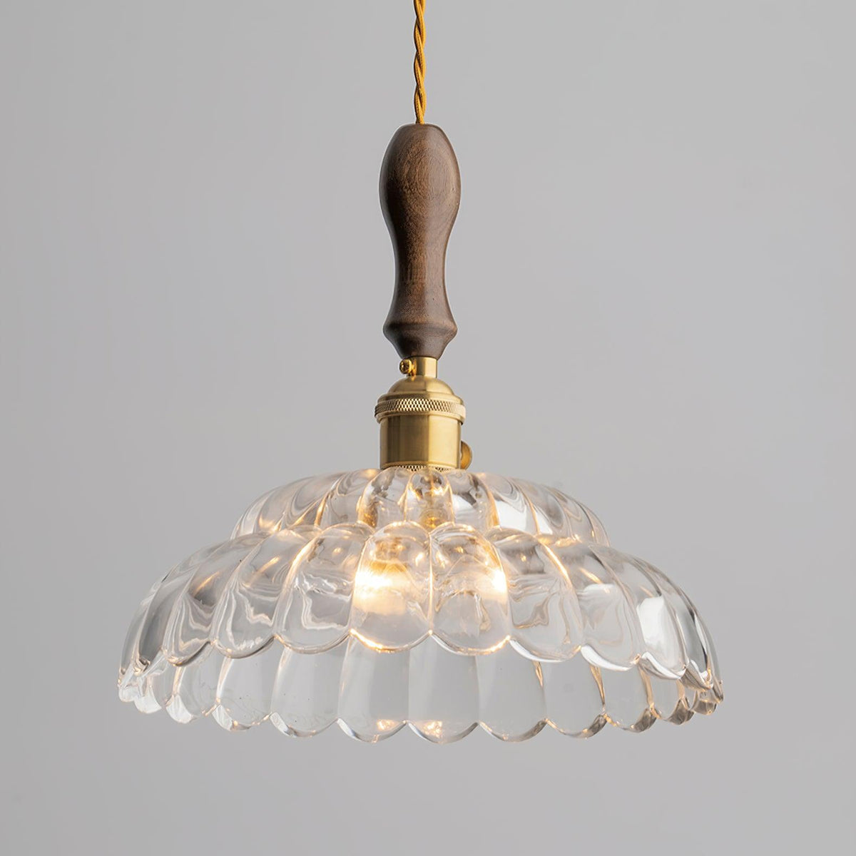 Aster Suspension