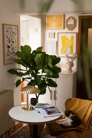 Zorare Lampe de Table Glam en Laiton