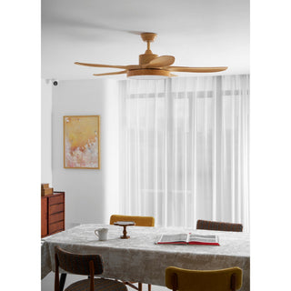 Teriinena Ventilateur de Plafond Lumineux