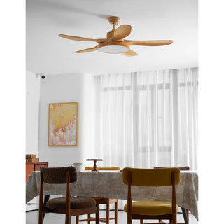 Teriinena Ventilateur de Plafond Lumineux