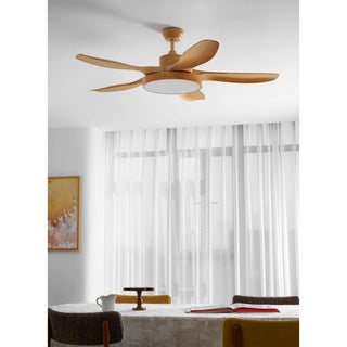 Teriinena Ventilateur de Plafond Lumineux