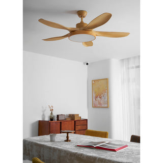 Teriinena Ventilateur de Plafond Lumineux