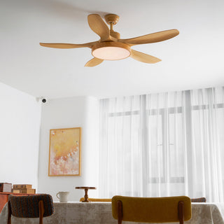 Teriinena Ventilateur de Plafond Lumineux