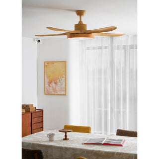 Teriinena Ventilateur de Plafond Lumineux