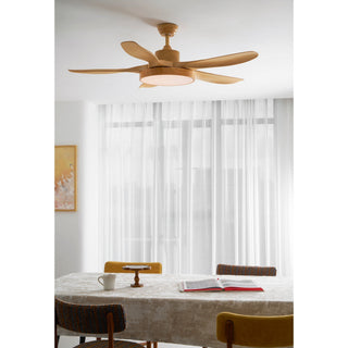 Teriinena Ventilateur de Plafond Lumineux
