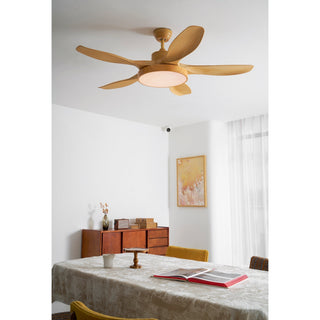 Teriinena Ventilateur de Plafond Lumineux