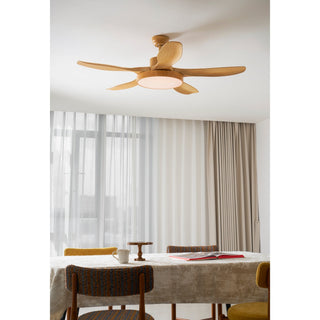 Teriinena Ventilateur de Plafond Lumineux