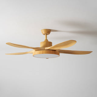Teriinena Ventilateur de Plafond Lumineux