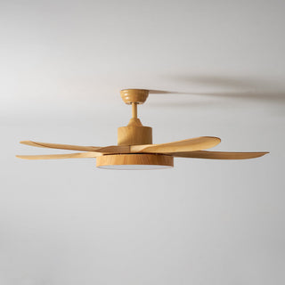Teriinena Ventilateur de Plafond Lumineux