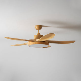 Teriinena Ventilateur de Plafond Lumineux