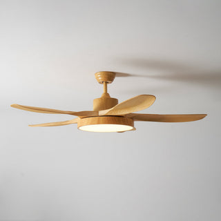 Teriinena Ventilateur de Plafond Lumineux
