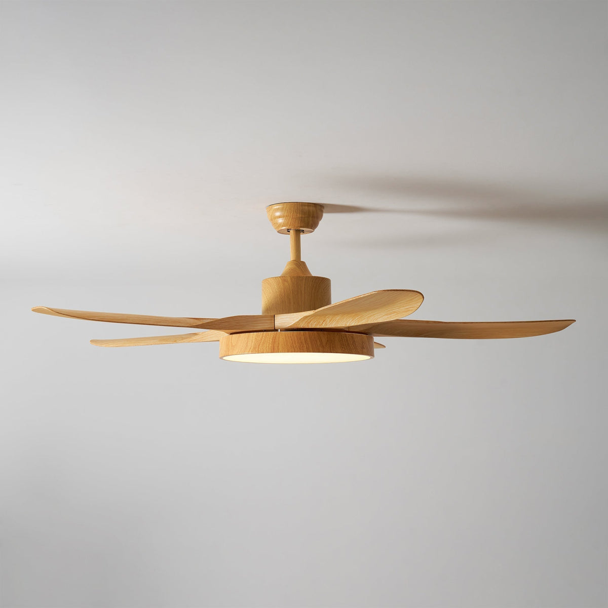 Teriinena Ventilateur de Plafond Lumineux