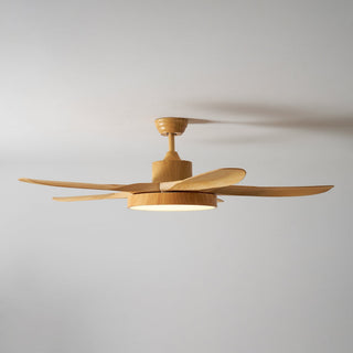 Teriinena Ventilateur de Plafond Lumineux