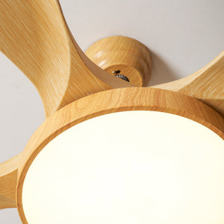 Teriinena Ventilateur de Plafond Lumineux