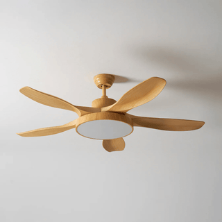Ventilateur de plafond avec lumière StillWind