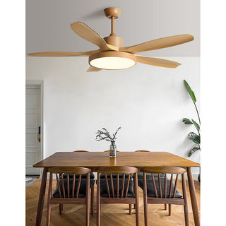 Teriinena Ventilateur de Plafond Lumineux
