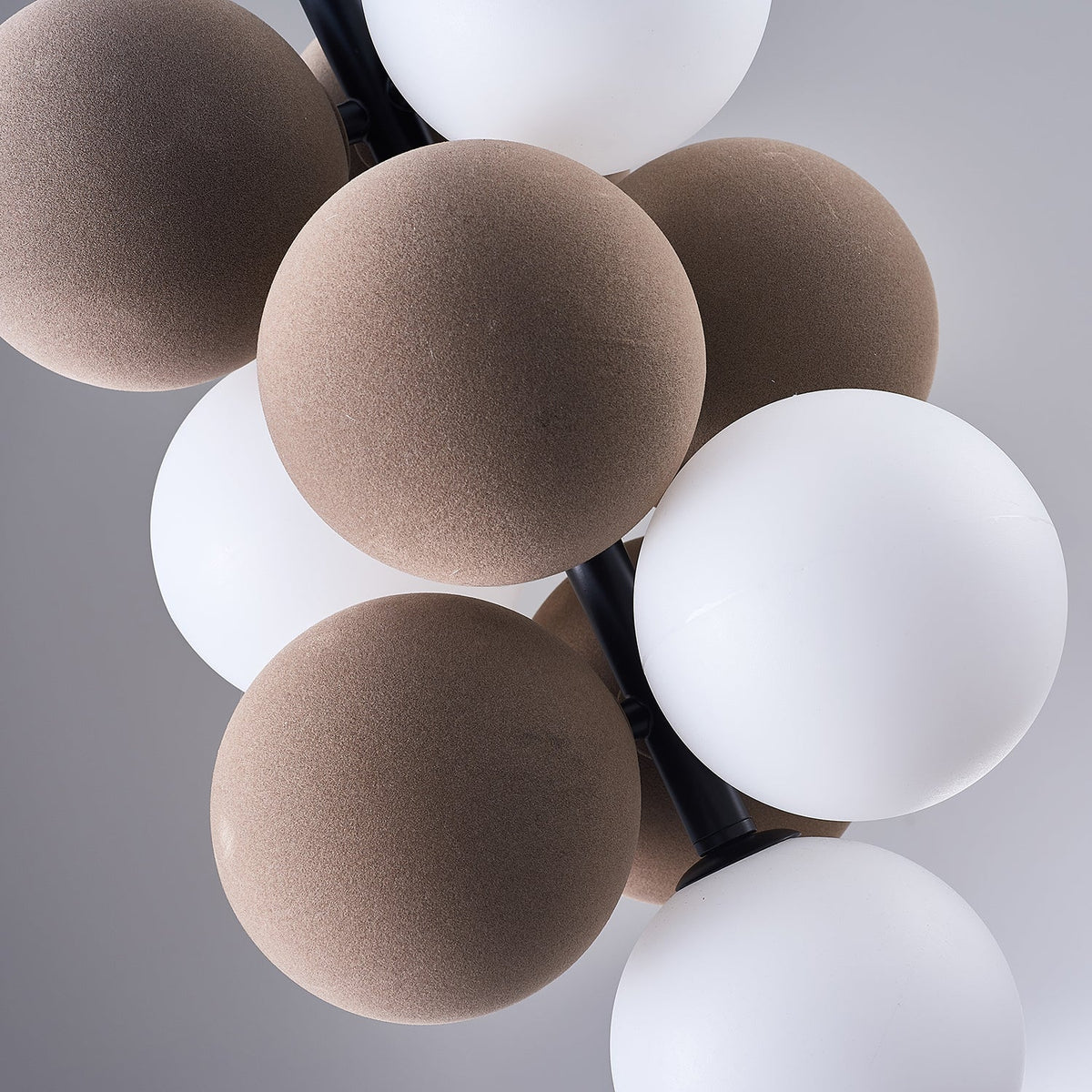 Nebula Suspension