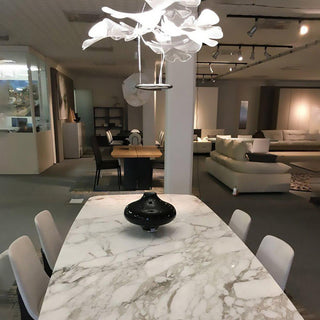 Solara Lustre Suspension Feuille Transparente