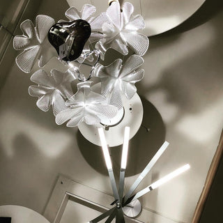 Solara Lustre Suspension Feuille Transparente