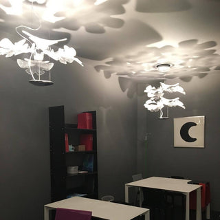 Solara Lustre Suspension Feuille Transparente