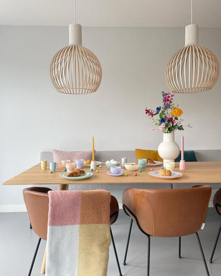 Cage Lampe Suspendue Sculpturale à Cadre Ouvert en Bouleau-Luire
