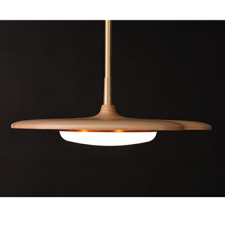 Calder Lustre LED Blossom