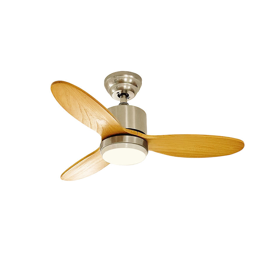 Rivaraine Ventilateur de Plafond Lumineux