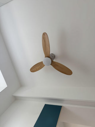 Rivaraine Ventilateur de Plafond Lumineux