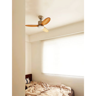 Rivaraine Ventilateur de Plafond Lumineux