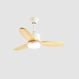Rivaraine Ventilateur de Plafond Lumineux