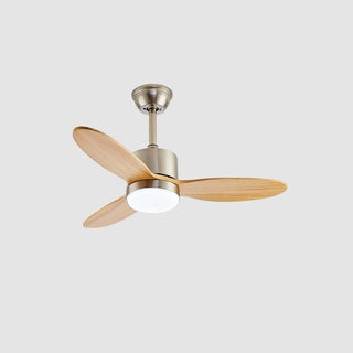Rivaraine Ventilateur de Plafond Lumineux