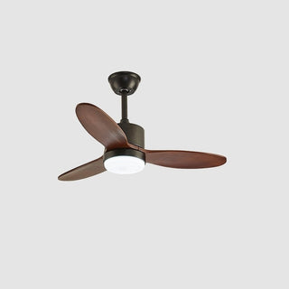 Rivaraine Ventilateur de Plafond Lumineux
