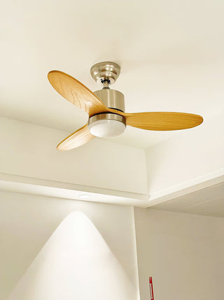 Rivaraine Ventilateur de Plafond Lumineux