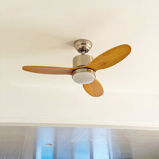 Rivaraine Ventilateur de Plafond Lumineux
