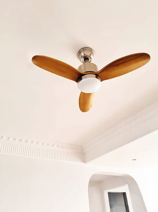 Rivaraine Ventilateur de Plafond Lumineux