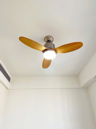 Rivaraine Ventilateur de Plafond Lumineux