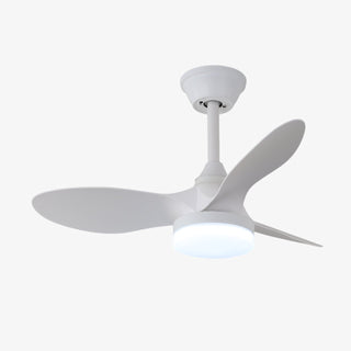 Aelric Plafonnier Ventilateur Moderne