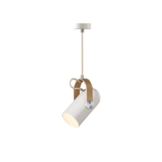Lunaire Suspension Industrielle