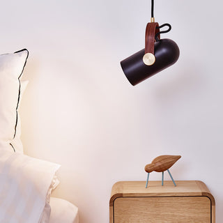 Lunaire Suspension Industrielle