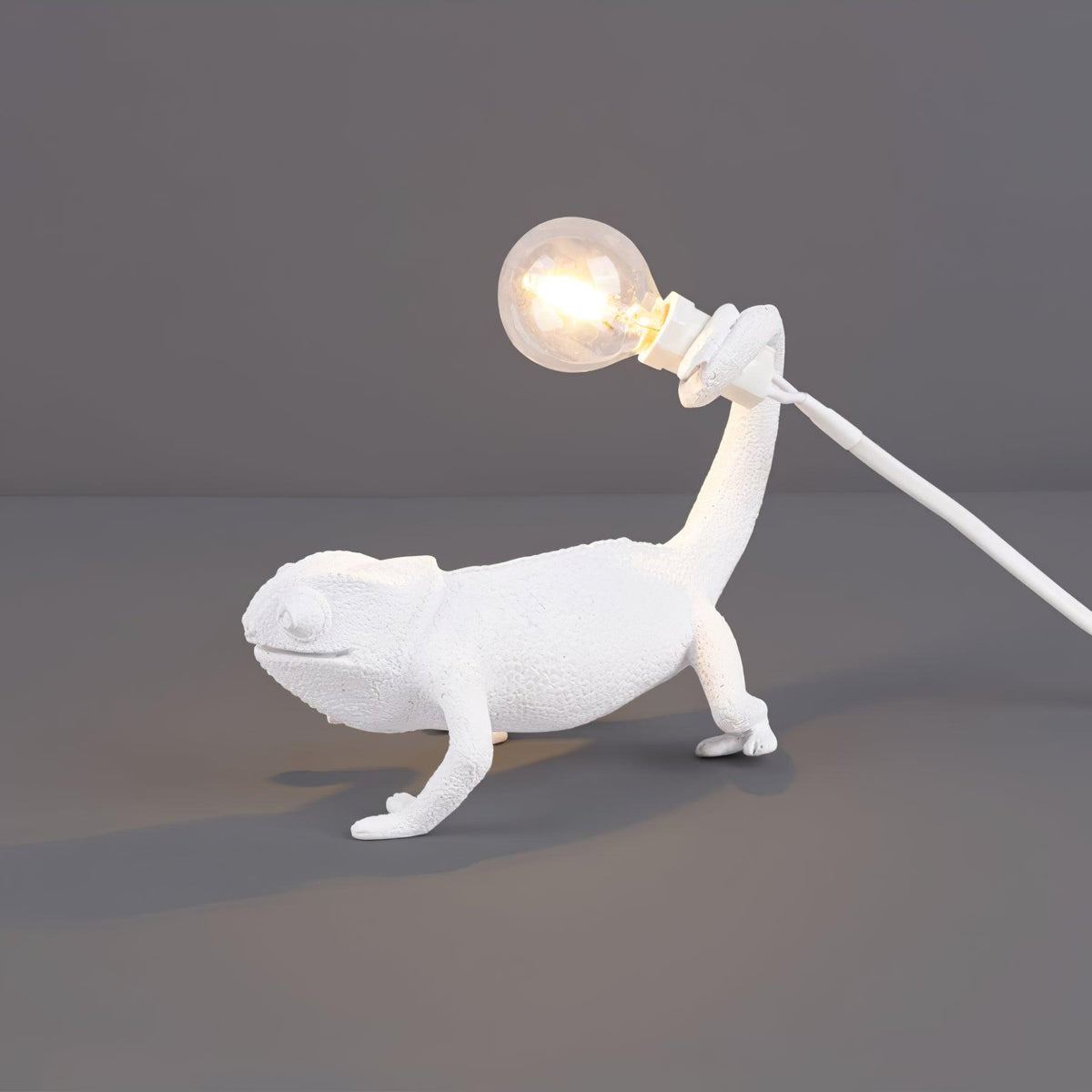 Lampe de Table Orelanaya