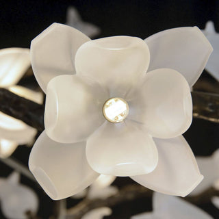 Fiorella Lustre