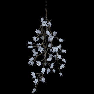 Fiorella Lustre