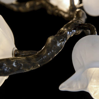 Fiorella Lustre