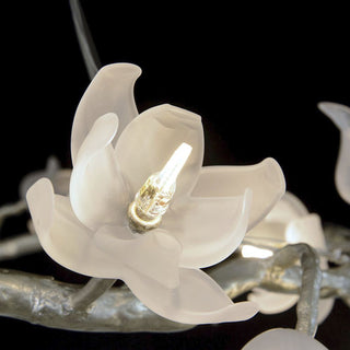 Fiorella Lustre