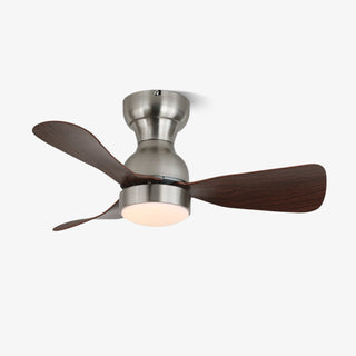 Aurdorus Plafonnier Ventilateur Moderne en Bois
