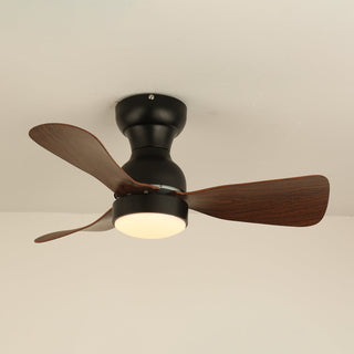 Aurdorus Plafonnier Ventilateur Moderne en Bois