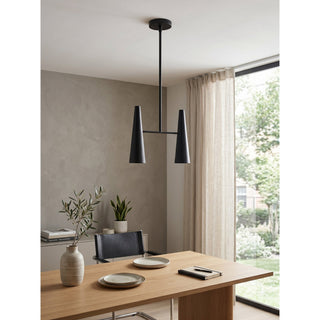 Avenanira Suspension