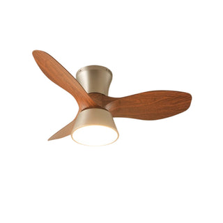 Caluelle Ventilateur de Plafond Lumineux